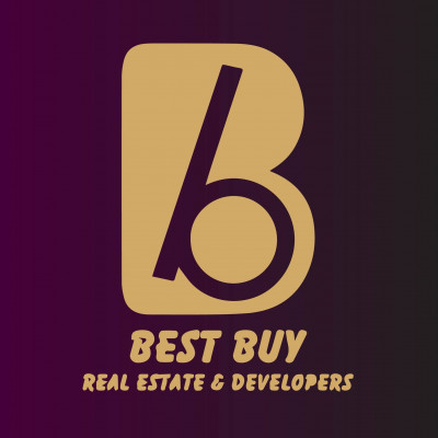 Best Buy Real Estate
