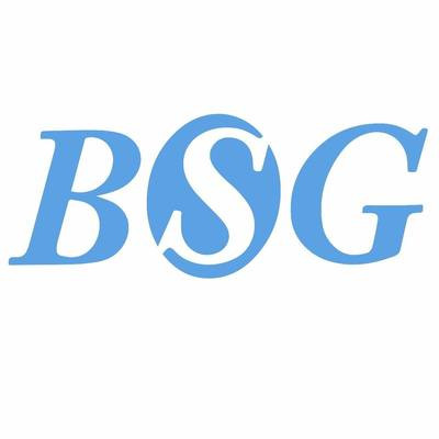 BSG Estate & Builders